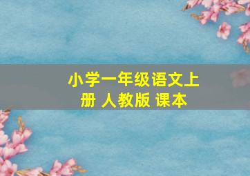 小学一年级语文上册 人教版 课本